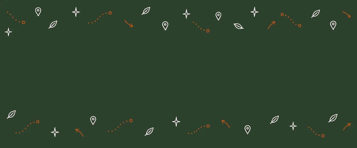 FIND YOUR PERFECT SCALP CARE