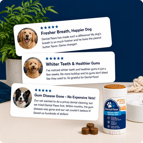 twist & Lick Teeth and Breath Cleanser